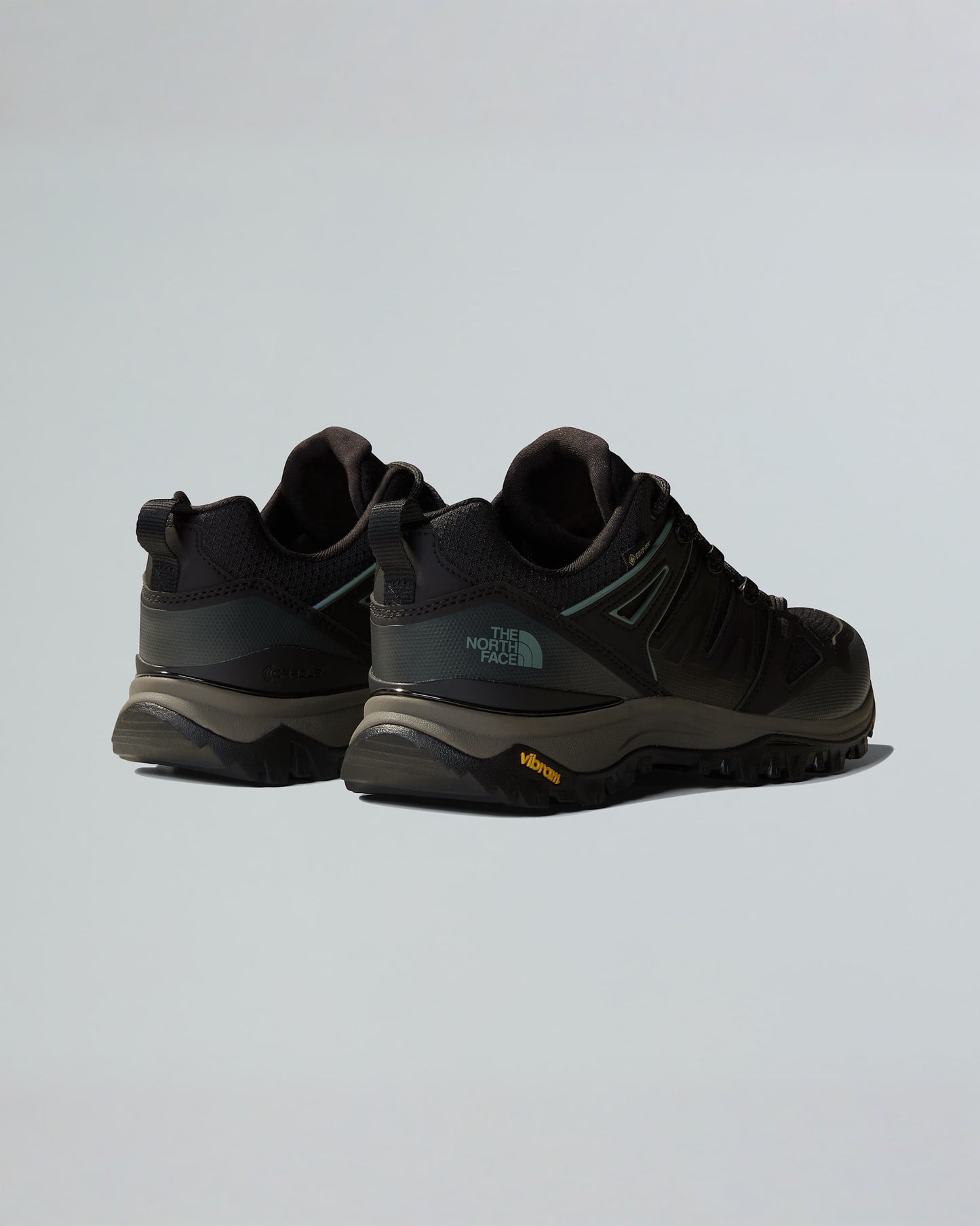 Men's Hedgehog GORE-TEX® Hiking Shoes