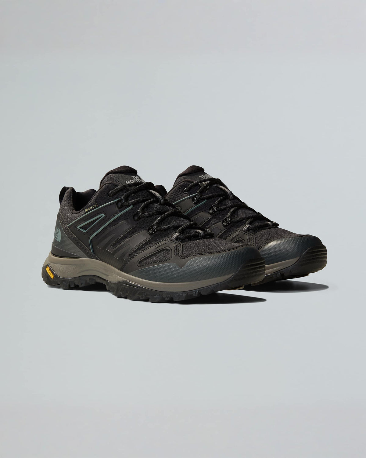 Men's Hedgehog GORE-TEX® Hiking Shoes