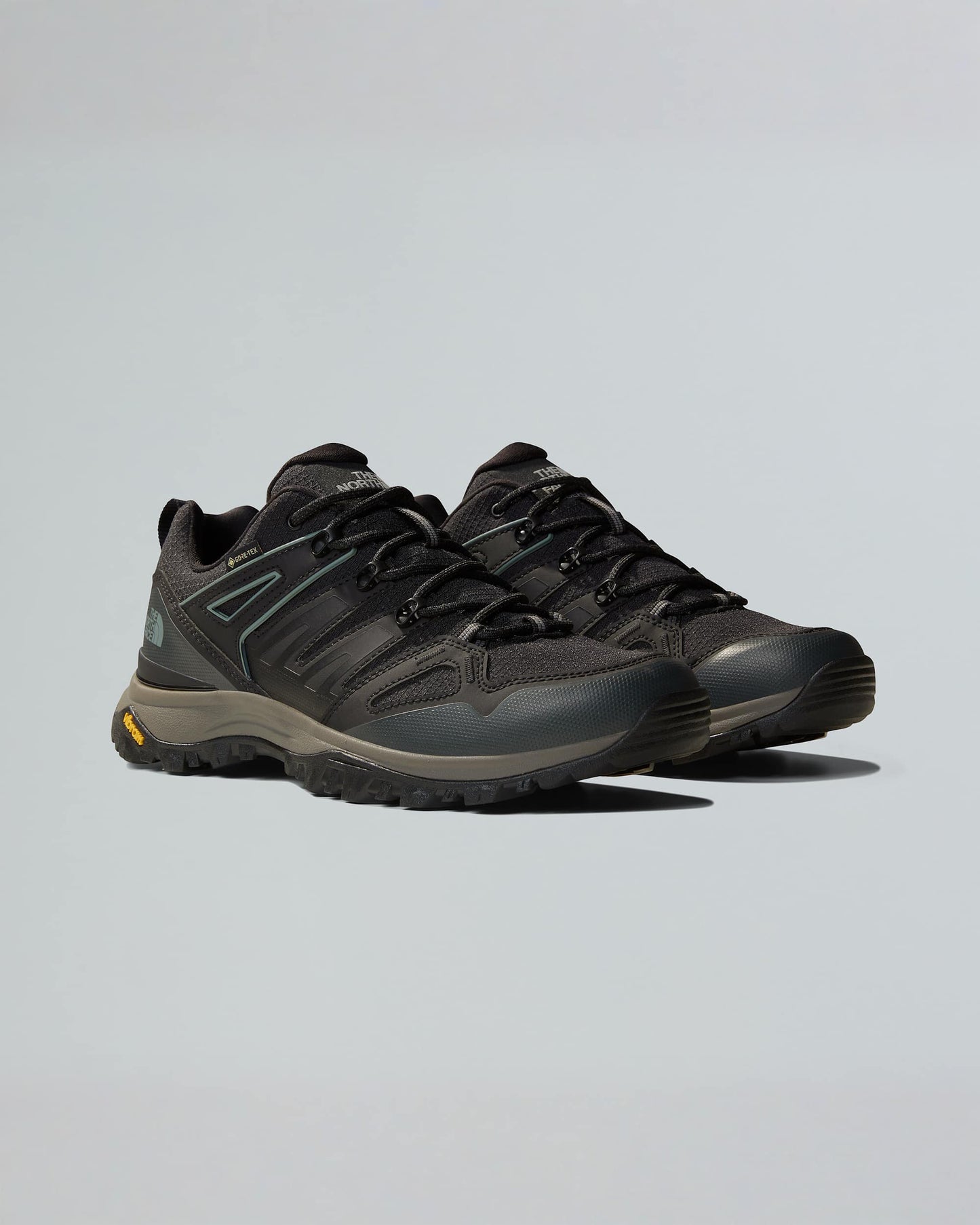 Men's Hedgehog GORE-TEX® Hiking Shoes