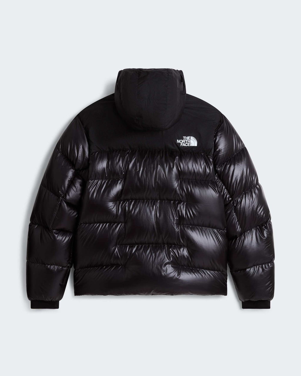 Men’s Summit Nuptse Jacket
